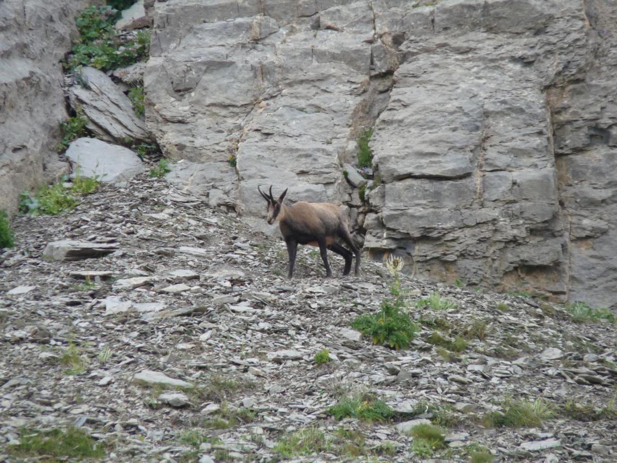 Les Marmottes D Estenc Exterior photo
